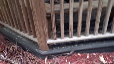 Horny racy hottie Sierra Nicole rides will not hear of